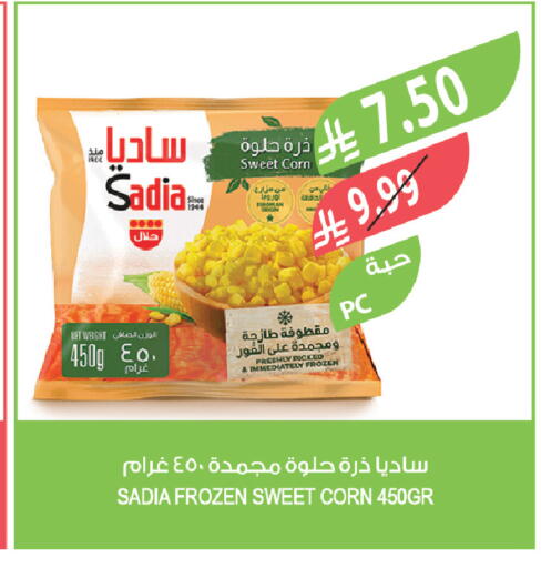 available at Farm  in KSA, Saudi Arabia, Saudi - Tabuk