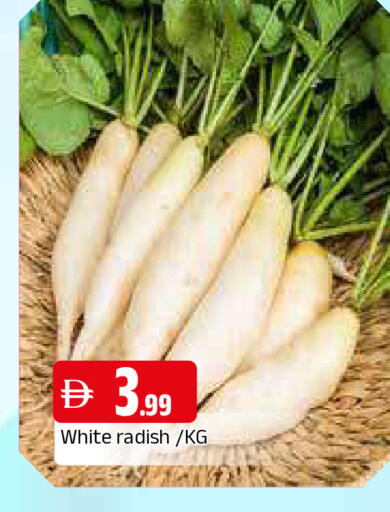 Radish available at المدينة in الإمارات العربية المتحدة , الامارات - الشارقة / عجمان