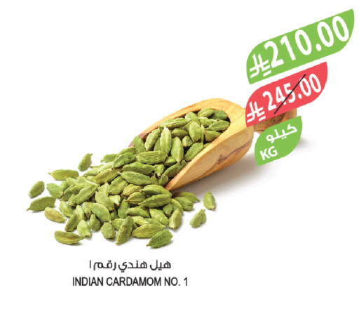 Cardamom available at Farm  in KSA, Saudi Arabia, Saudi - Al-Kharj