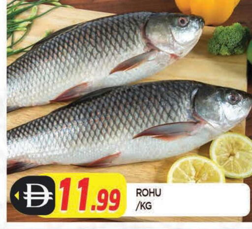 available at AL MADINA in UAE - Sharjah / Ajman