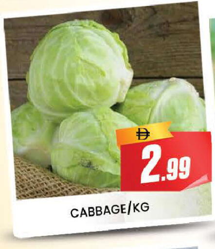 Cabbage available at المدينة in الإمارات العربية المتحدة , الامارات - دبي