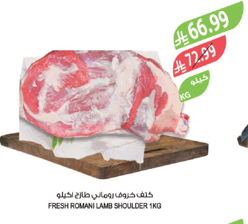 available at المزرعة in مملكة العربية السعودية, السعودية, سعودية - الخبر‎