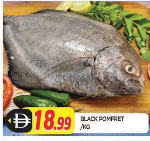 available at AL MADINA in UAE - Sharjah / Ajman