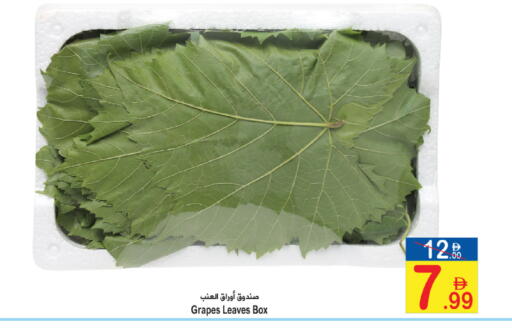 Grapes available at Sun and Sand Hypermarket in UAE - Ras al Khaimah