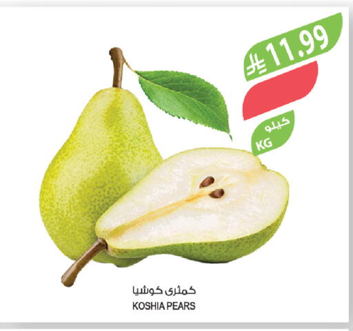 available at Farm  in KSA, Saudi Arabia, Saudi - Tabuk