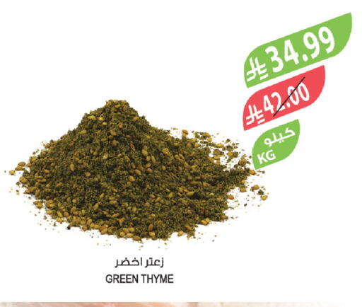 Thyme available at Farm  in KSA, Saudi Arabia, Saudi - Abha