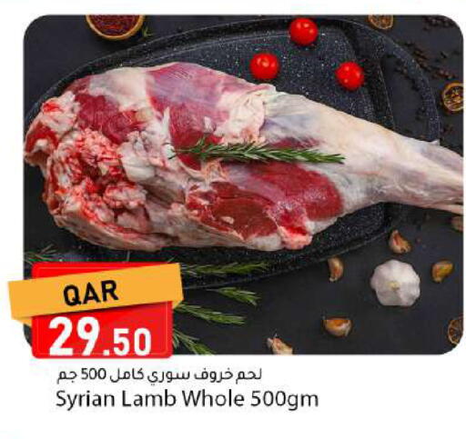 available at دانا ماركت in قطر - الضعاين