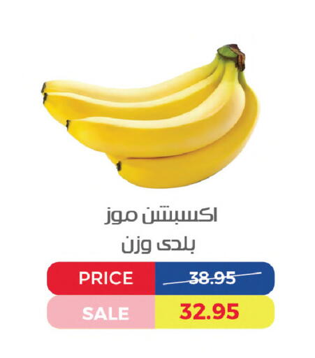 available at Exception Market in Egypt - Cairo