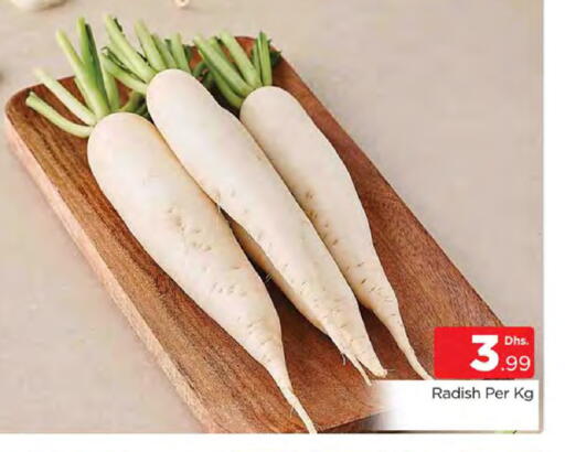 Radish available at المدينة in الإمارات العربية المتحدة , الامارات - دبي
