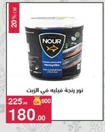 available at محمود الفار in Egypt - القاهرة