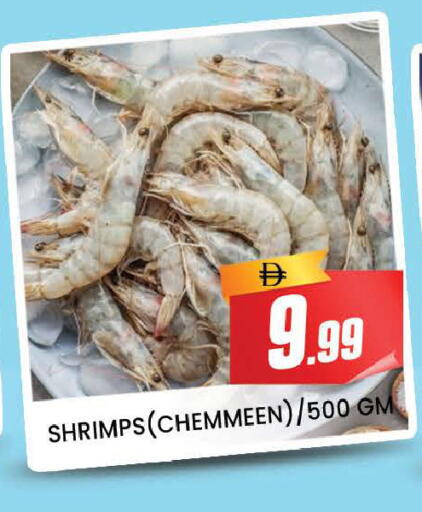 available at المدينة in الإمارات العربية المتحدة , الامارات - دبي