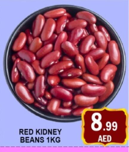 available at متجر الهدايا الخضراء in الإمارات العربية المتحدة , الامارات - أبو ظبي