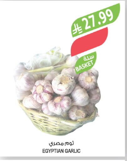 Garlic from Egypt available at المزرعة in مملكة العربية السعودية, السعودية, سعودية - سيهات