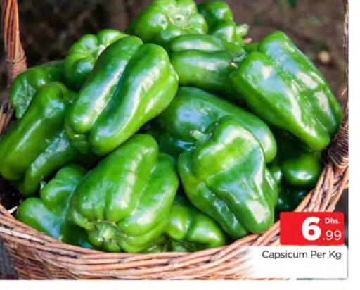 Capsicum available at المدينة in الإمارات العربية المتحدة , الامارات - دبي