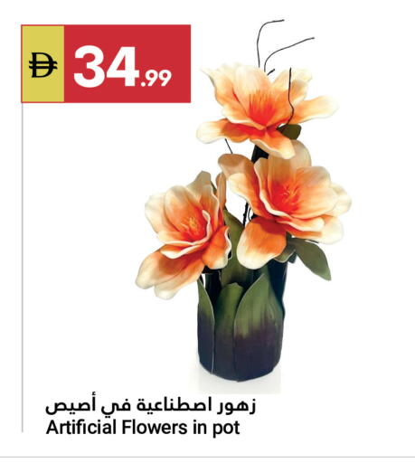 available at Grand Emirates Market in UAE - Abu Dhabi