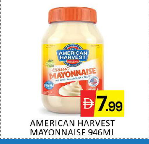 Mango available at مانجو هايبرماركت in الإمارات العربية المتحدة , الامارات - دبي