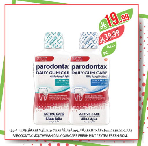 Mint available at المزرعة in مملكة العربية السعودية, السعودية, سعودية - سكاكا