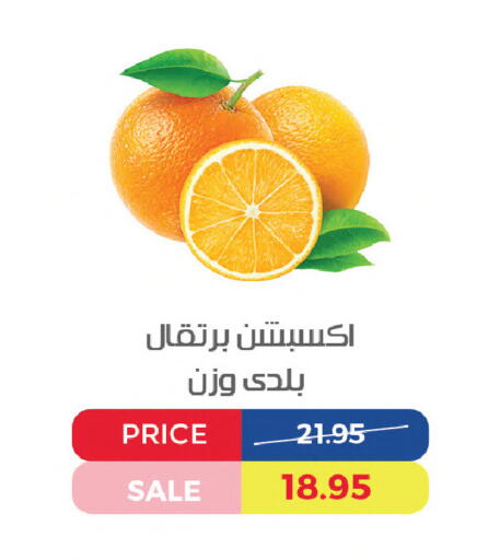 available at Exception Market in Egypt - Cairo