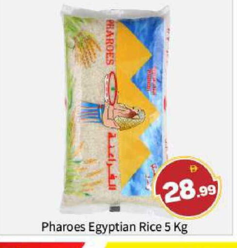 available at بيج مارت in الإمارات العربية المتحدة , الامارات - أبو ظبي