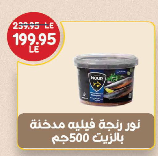 available at اكسبشن ماركت in Egypt - القاهرة