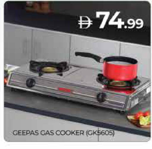 available at المدينة in الإمارات العربية المتحدة , الامارات - دبي