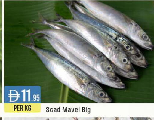 available at ويست زون سوبرماركت in الإمارات العربية المتحدة , الامارات - دبي