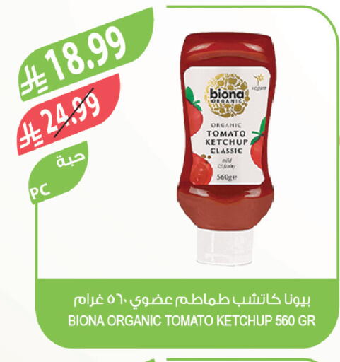 Tomato available at Farm  in KSA, Saudi Arabia, Saudi - Saihat