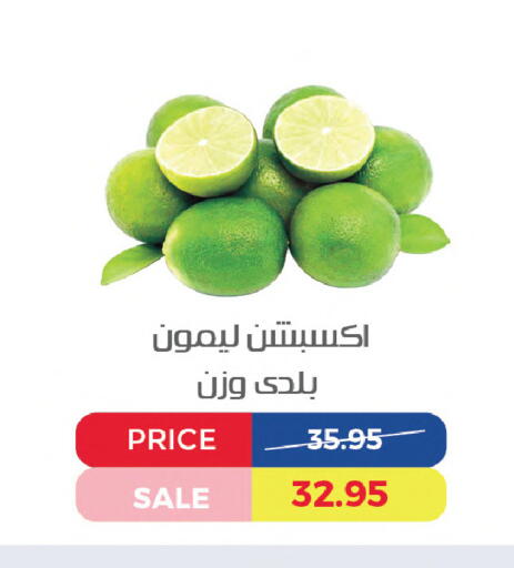available at اكسبشن ماركت in Egypt - القاهرة