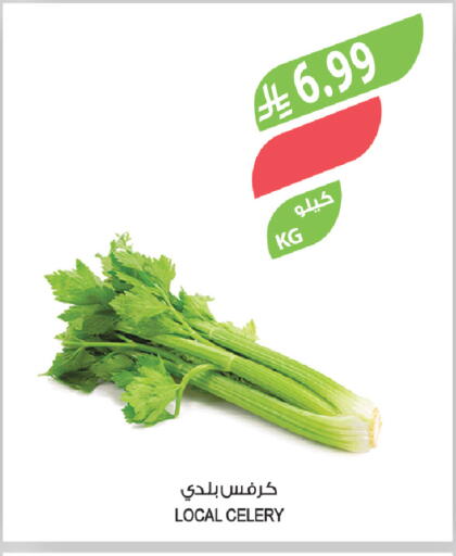 Celery available at المزرعة in مملكة العربية السعودية, السعودية, سعودية - سيهات