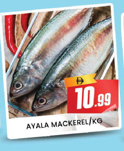 available at المدينة in الإمارات العربية المتحدة , الامارات - دبي