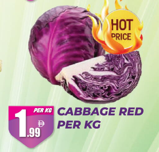 Cabbage available at دريم لاند in الإمارات العربية المتحدة , الامارات - دبي