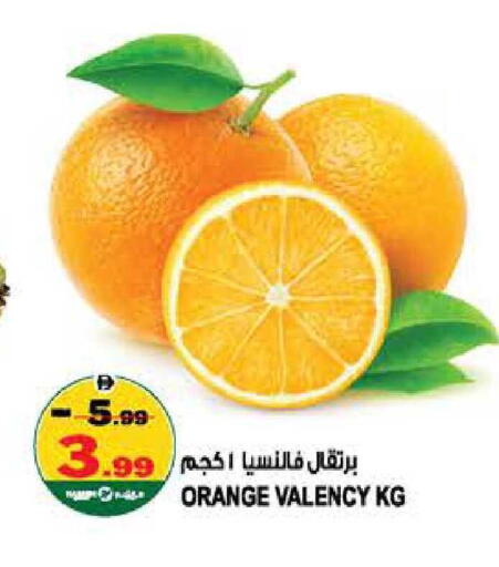 Orange available at هاشم هايبرماركت in الإمارات العربية المتحدة , الامارات - الشارقة / عجمان