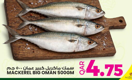 available at أنصار جاليري in قطر - أم صلال