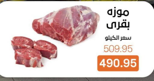 available at بيت الجملة in Egypt - القاهرة
