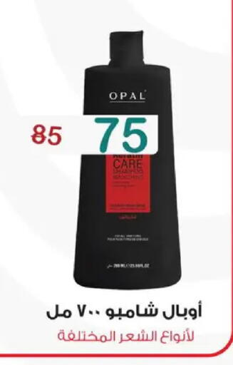 available at Wekalet Elmansoura - Dakahlia  in Egypt - Cairo