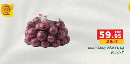 available at بنده in Egypt - القاهرة