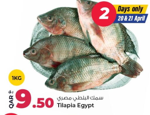 available at روابي هايبرماركت in قطر - الشحانية