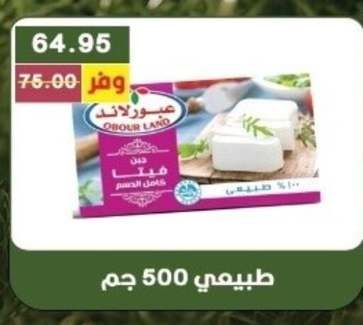available at Bashayer hypermarket in Egypt - Cairo