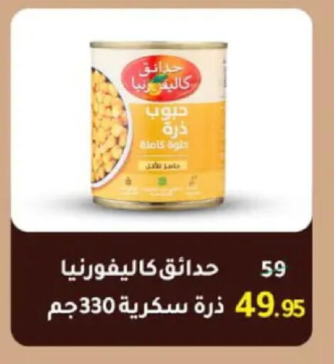 available at وكالة المنصورة - الدقهلية‎ in Egypt - القاهرة