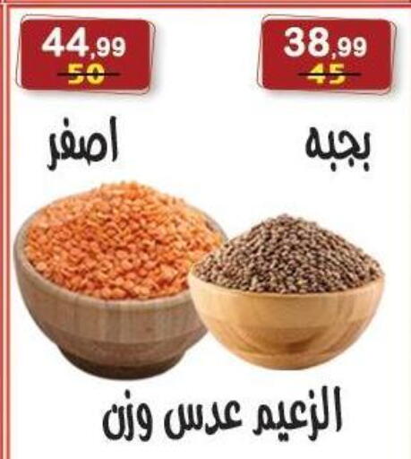 available at هايبر النسر in Egypt - القاهرة