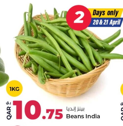 from India available at روابي هايبرماركت in قطر - الشحانية