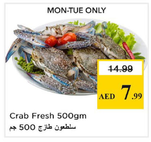 available at نستو هايبرماركت in الإمارات العربية المتحدة , الامارات - رَأْس ٱلْخَيْمَة