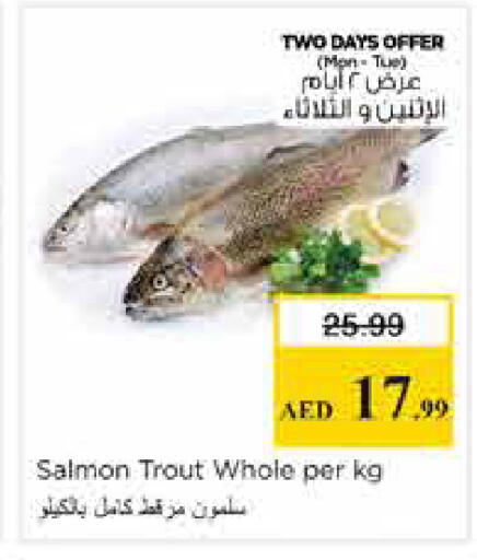 available at نستو هايبرماركت in الإمارات العربية المتحدة , الامارات - الشارقة / عجمان