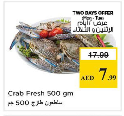 available at نستو هايبرماركت in الإمارات العربية المتحدة , الامارات - أبو ظبي