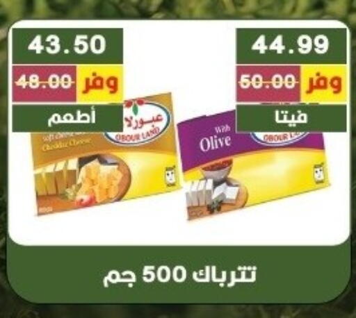 available at Bashayer hypermarket in Egypt - Cairo