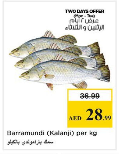 available at نستو هايبرماركت in الإمارات العربية المتحدة , الامارات - الشارقة / عجمان