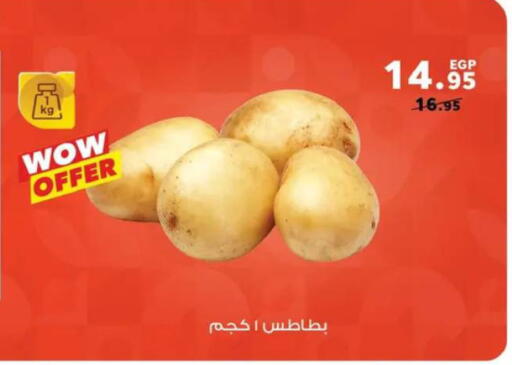 available at بنده in Egypt - القاهرة