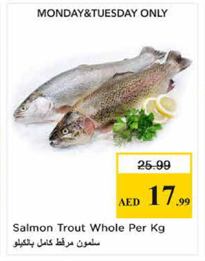 available at نستو هايبرماركت in الإمارات العربية المتحدة , الامارات - الشارقة / عجمان