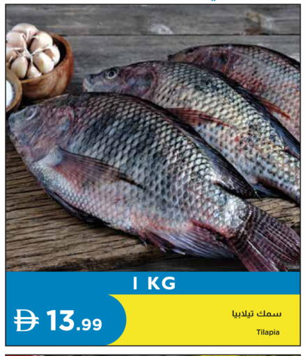 available at Istanbul Supermarket in UAE - Dubai