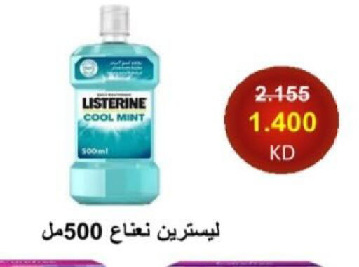 Mint available at  Al Adan And Al Qusor Co-Op in Kuwait - Ahmadi Governorate